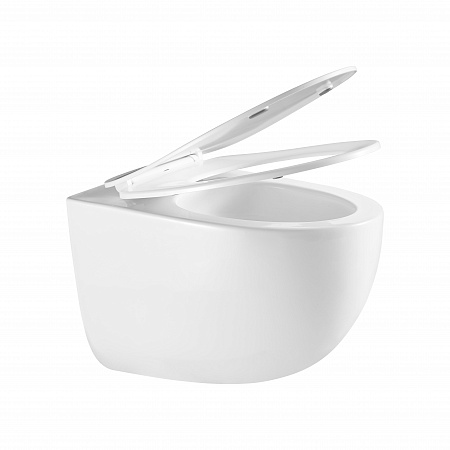 Подвесной унитаз безободковый Terminus Енисей Monolit 560х390 белый Воронеж - фото 7 Подвесной унитаз безободковый Terminus Енисей Monolit 560х390 белый Воронеж - фото 7