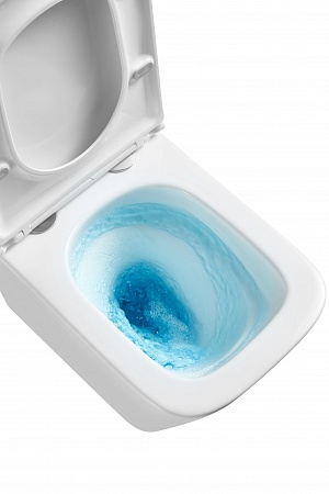 Подвесной унитаз безободковый Terminus Ватикан Monolit 490х340 белый Воронеж - фото 8 Подвесной унитаз безободковый Terminus Ватикан Monolit 490х340 белый Воронеж - фото 8