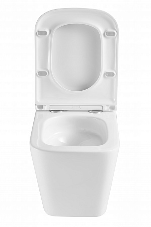 Подвесной унитаз безободковый Terminus Ватикан Monolit 490х340 белый Воронеж - фото 7 Подвесной унитаз безободковый Terminus Ватикан Monolit 490х340 белый Воронеж - фото 7