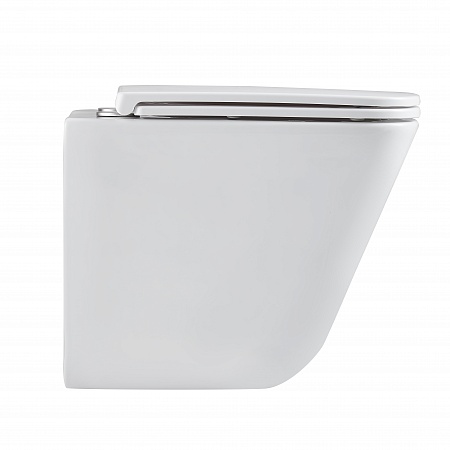 Подвесной унитаз безободковый Terminus Ватикан Monolit 490х340 белый Воронеж - фото 4 Подвесной унитаз безободковый Terminus Ватикан Monolit 490х340 белый Воронеж - фото 4