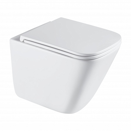 Подвесной унитаз безободковый Terminus Ватикан Monolit 490х340 белый Воронеж - фото 2 Подвесной унитаз безободковый Terminus Ватикан Monolit 490х340 белый Воронеж - фото 2