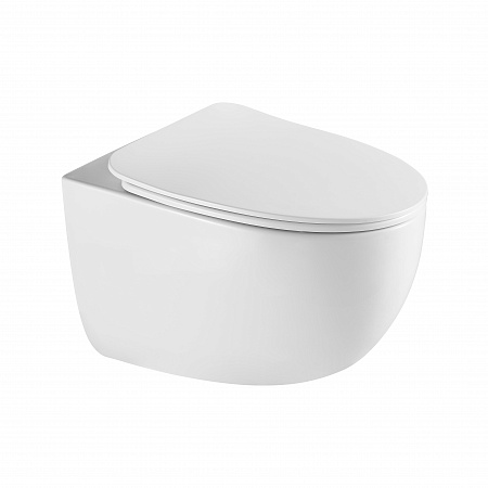 Подвесной унитаз безободковый Terminus Енисей Monolit 560х390 белый Воронеж - фото 2 Подвесной унитаз безободковый Terminus Енисей Monolit 560х390 белый Воронеж - фото 2