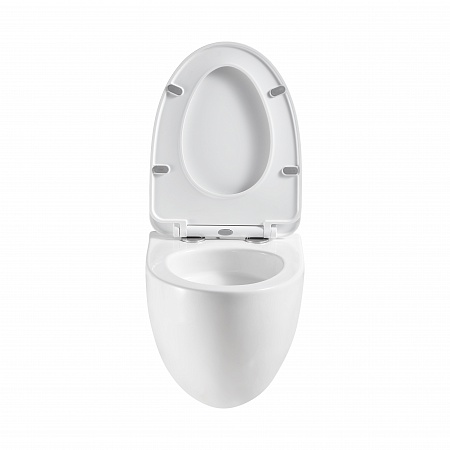 Подвесной унитаз безободковый Terminus Енисей Monolit 560х390 белый Воронеж - фото 5 Подвесной унитаз безободковый Terminus Енисей Monolit 560х390 белый Воронеж - фото 5