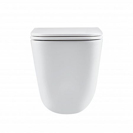 Подвесной унитаз безободковый Terminus Ватикан Monolit 490х340 белый Воронеж - фото 6 Подвесной унитаз безободковый Terminus Ватикан Monolit 490х340 белый Воронеж - фото 6