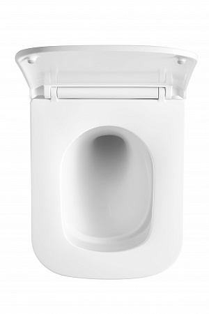 Подвесной унитаз безободковый Terminus Ватикан Monolit 490х340 белый Воронеж - фото 3 Подвесной унитаз безободковый Terminus Ватикан Monolit 490х340 белый Воронеж - фото 3